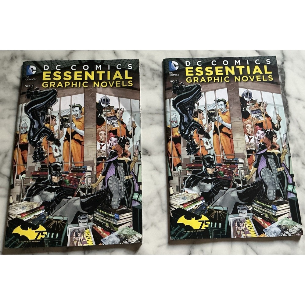Lot Of 2 DC‎ Comics Essential Graphic Novels No. 1 2004 Double Sided